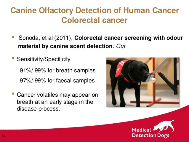 Dr Claire Guest , Medical Detection Dogs