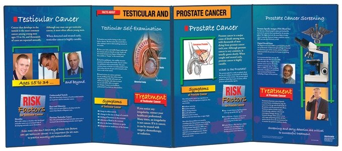 Facts about Testicular and Prostate Cancer Folding Display