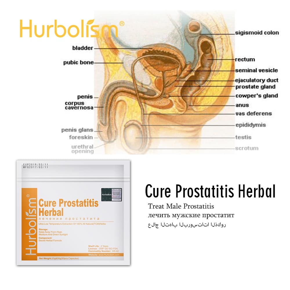 Natural Herbal to Cure Prostate &  Nourish Prostate Functions, Improve ...