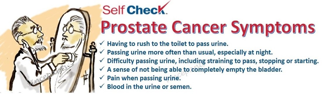 Prostate Cancer Prevention. Prostate Symptoms and Signs ...