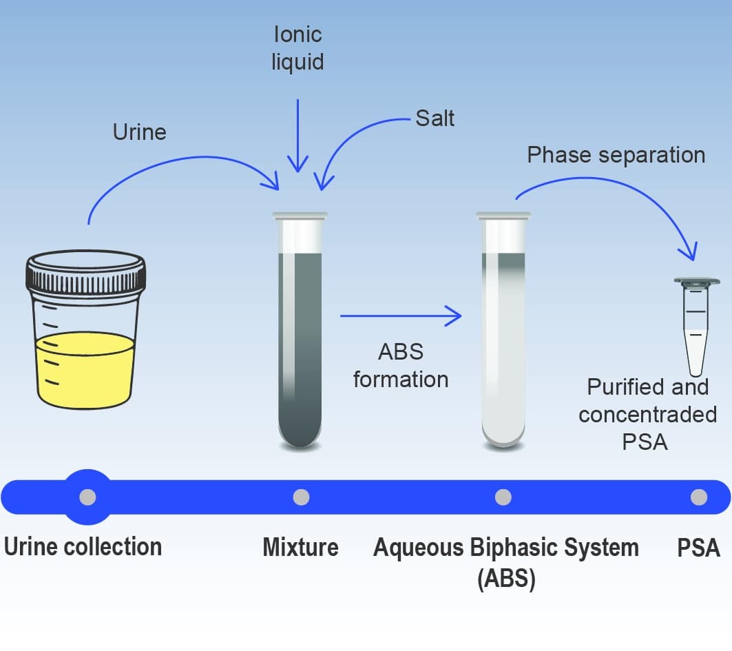 PSA purification and concentration from urine samples for non