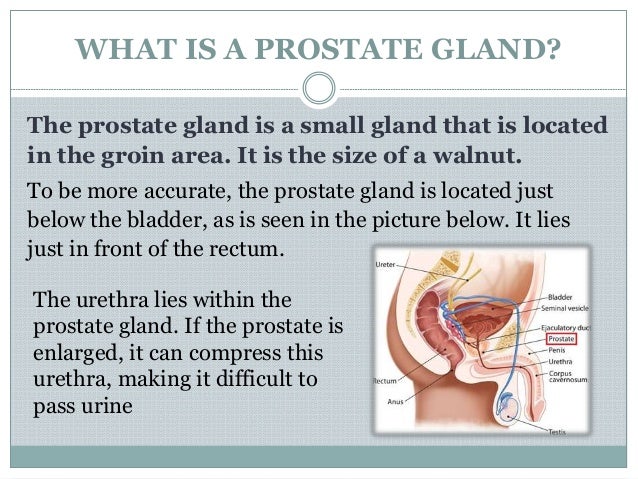 Understanding Enlarged Prostate Glands