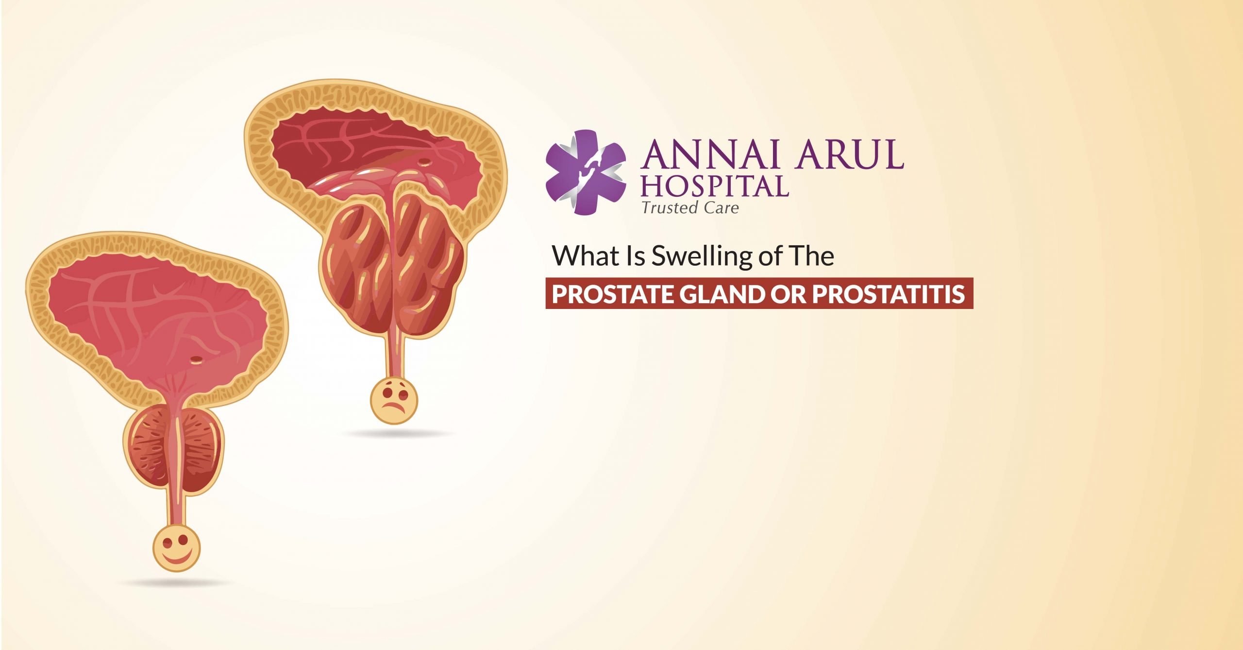 What is prostate health