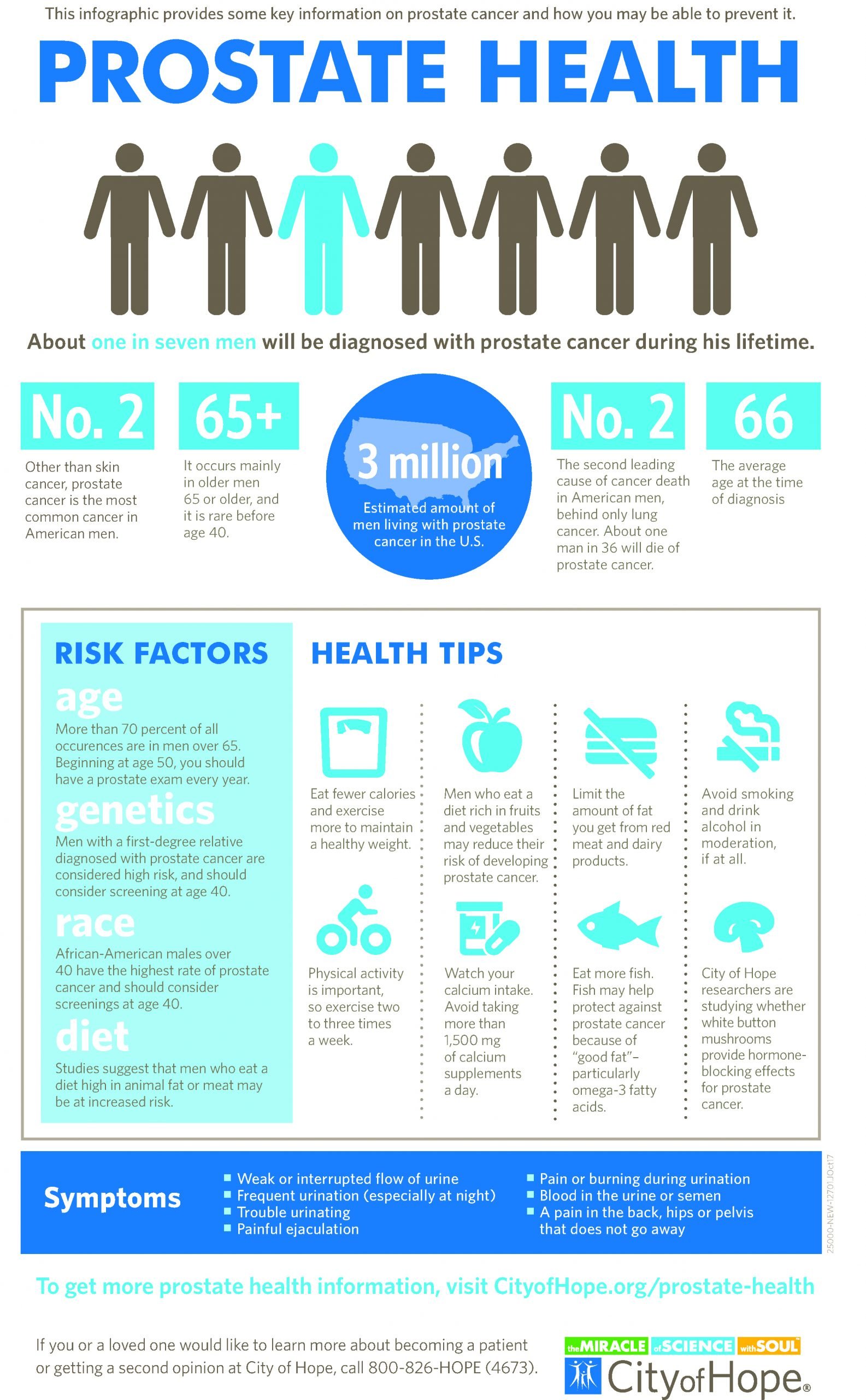 What You Need to Know About Prostate Cancer (w/Infographic ...